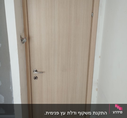 דלת עץ בהירה עם ידית מתכת כסופה
